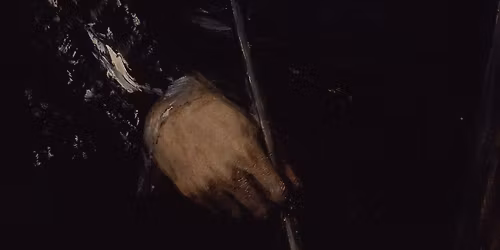 Goya, g\u00e9nie visionnaire - Karin Debbaut