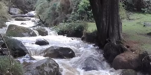 Reserve El Delirio - La Maria