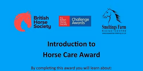 BHS Introduction to Horse Care Challenge Award