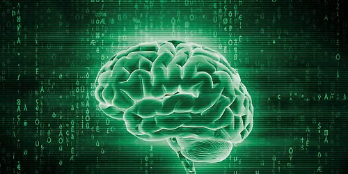 The Matrix: Mind, Perception, & Reality