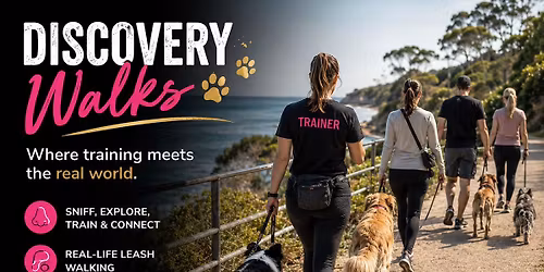 Discovery Walks with Canine Interaction