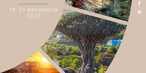 Retreat de Constela\u021bii Familiale cu Dragos Riti, in Tenerife