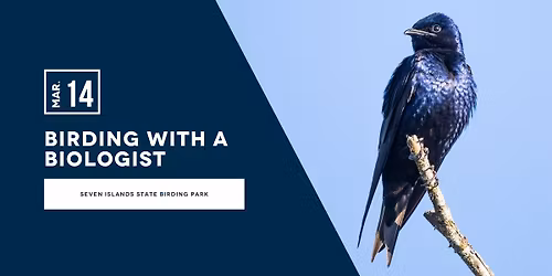 Birding With a Biologist