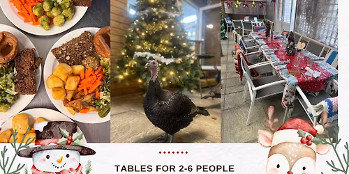Christmas Lunches at The Retreat Animal Rescue