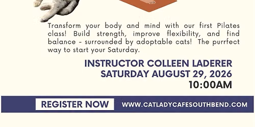 purrlates class with colleen laderer
