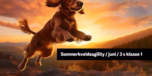 Sommerkveldsagility \/ juni \/ 3 x AG klasse 1