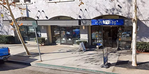 San Diego (Downtown) - Dog dental cleaning