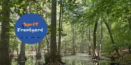 SpriT Frontyard Torup 2025 (Malm\u00f6)