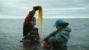 "Seaweed Stories" film screening and panel discussion