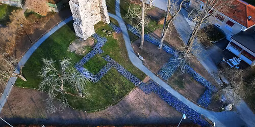 V\u00e5rfest vid S:t Lars kyrkoruin n\u00e4r ruinen blommar