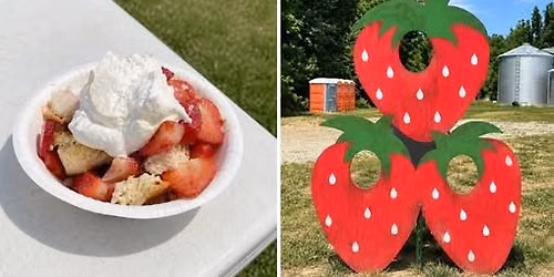 Strawberry Festival \ud83c\udf53