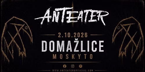 Anteater v Moskytu