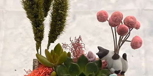 Succulent Treasure Box Workshop