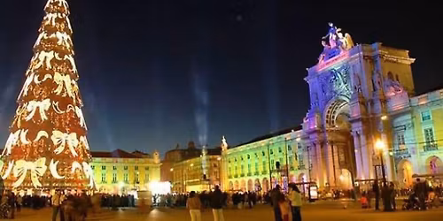 Tartarugas em Busca das Luzes de Natal
