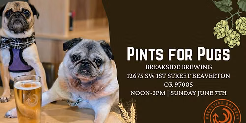 Pints for Pugs at Breakside Brewing