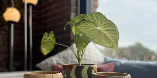 Sip N Create: Glaze Party with Eclecart Ceramics