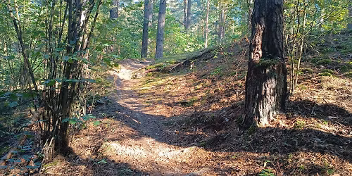 P\u0119dziwiatrowe poranki - S04E01