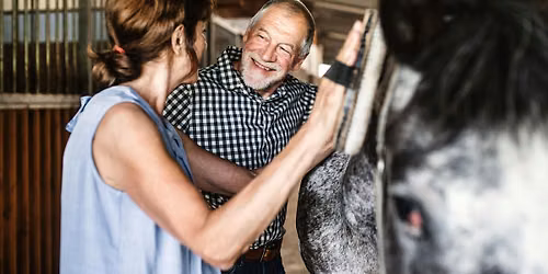 Discover Horses: hands-on horsemanship for all ages