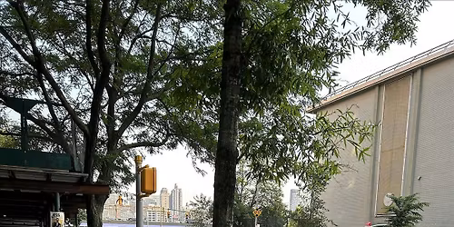 Mother's Day Street Tree Care