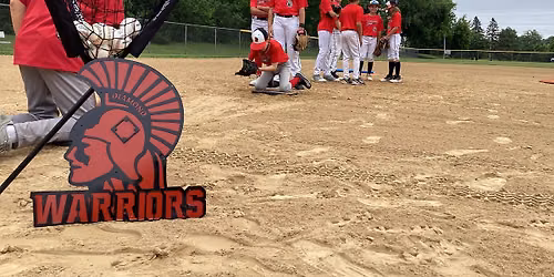 Diamond Warriors Baseball Camp (Ages 8 - 12)