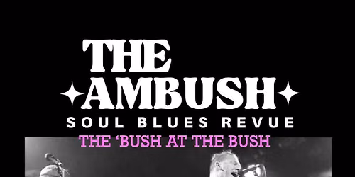 The \u2018Bush at The Bush