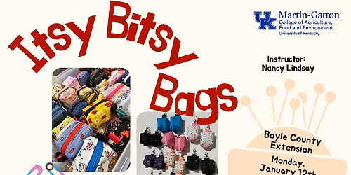 Itsy Bitsy Bags