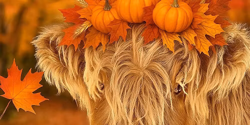 Painting With Ginger