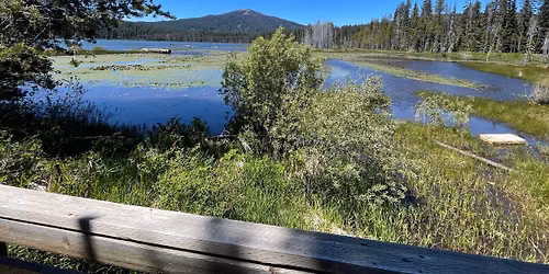 Lake of the Woods Hike - Registration Required
