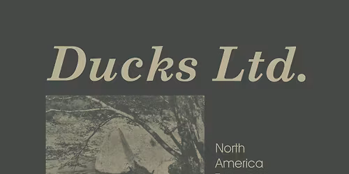 Ducks Ltd. \u2022 Telethon