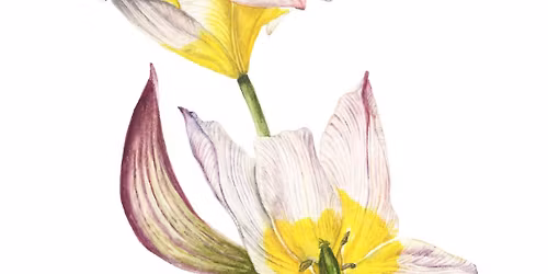 Botanical Painting Course