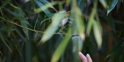 SpaceBody Exploration and ButohMayu