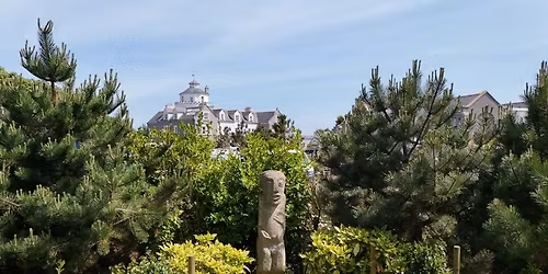 St Davids Open Gardens 2026