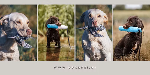 \ud83c\udf89 \u00c5BENT HUS HOS DUCK DRI \ud83c\udf89