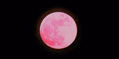 Strawberry Moon Cacao Ceremony & Sound Healing