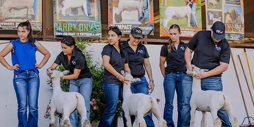 Chico State Youth Livestock Educational Day