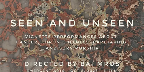 Seen and Unseen Vignette Performances