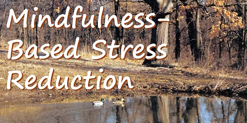 Mindfulness-Based Stress Reduction (MBSR) Series