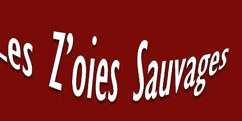 Les Z'Oies Sauvages Fest 1 - St Just la Pendue