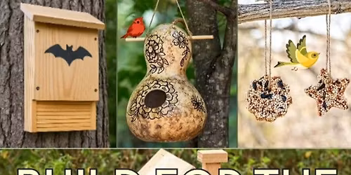 DIY Pollinator Enhancement Party