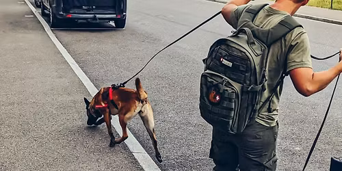 Stage de Mantrailing avec Alis Dobler