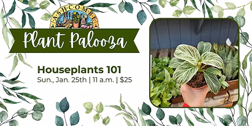 Houseplants 101