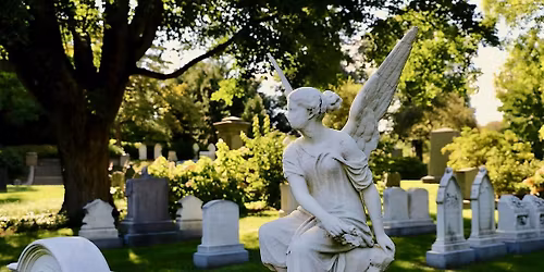 Book Club: Stiff by Mary Roach