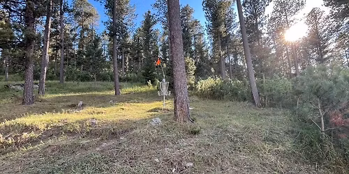 Putting League @ the Z