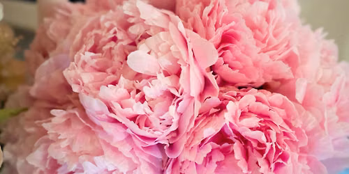 \ud83d\udcab\ud83c\udf38NYEREM\u00c9NYJ\u00c1T\u00c9K\ud83c\udf38\ud83d\udcab