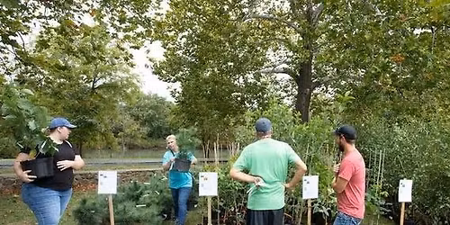 Arbor Day Celebration in St. Joseph
