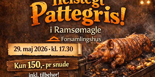 F\u00e6lles Spisning - HELSTEGT PATTEGRIS KUN 150KR.