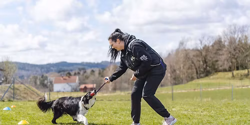 Brukslydighet (helg)