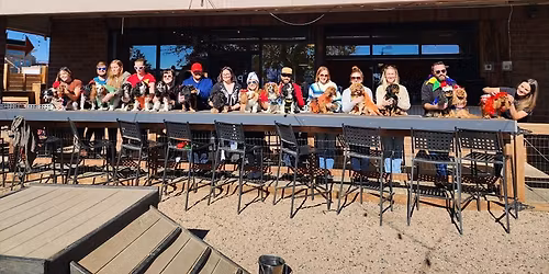 May Cavalier Meet-Up