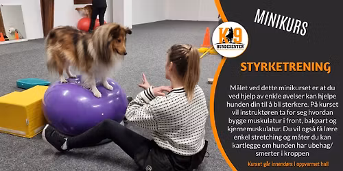 Minikurs - styrketrening for hund