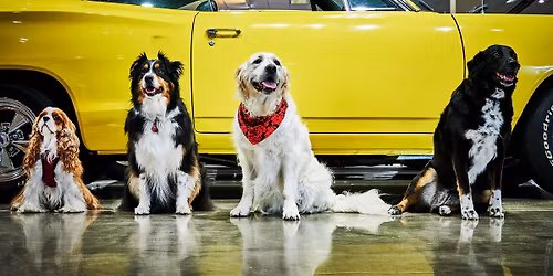 Gateway Classic Cars of Detroit Off-Site Adoption Event
